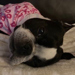 Meet your Posher, Ashlyn